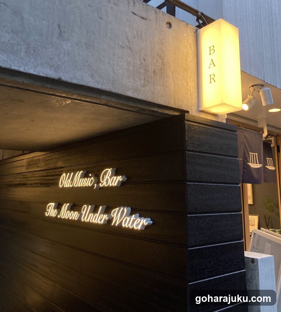 A nighttime photo of a bar's exterior entrance. A vertical illuminated sign reads 'BAR'. Below, on dark horizontal wooden planks, neon-style lettering spells out 'Old Music, Bar' and 'The Moon Under Water'. To the right, blue nautical flags with white ship illustrations hang near the doorway.