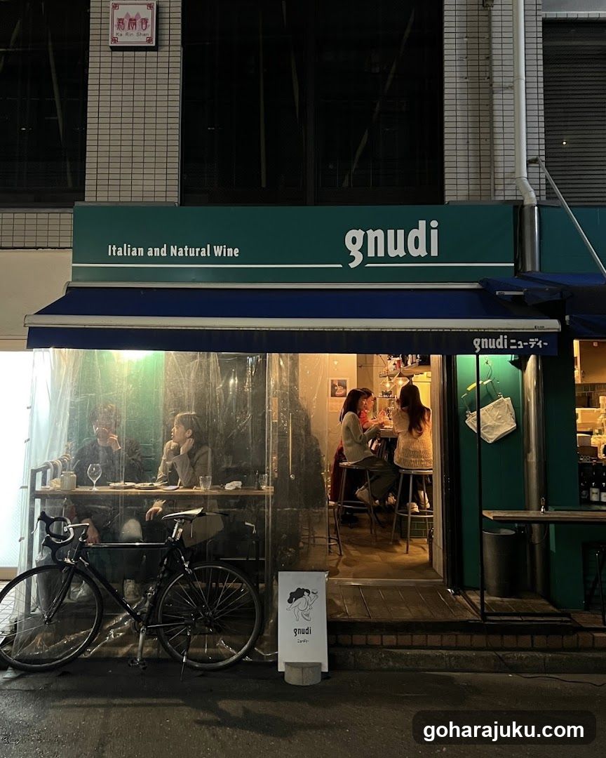 gnudi