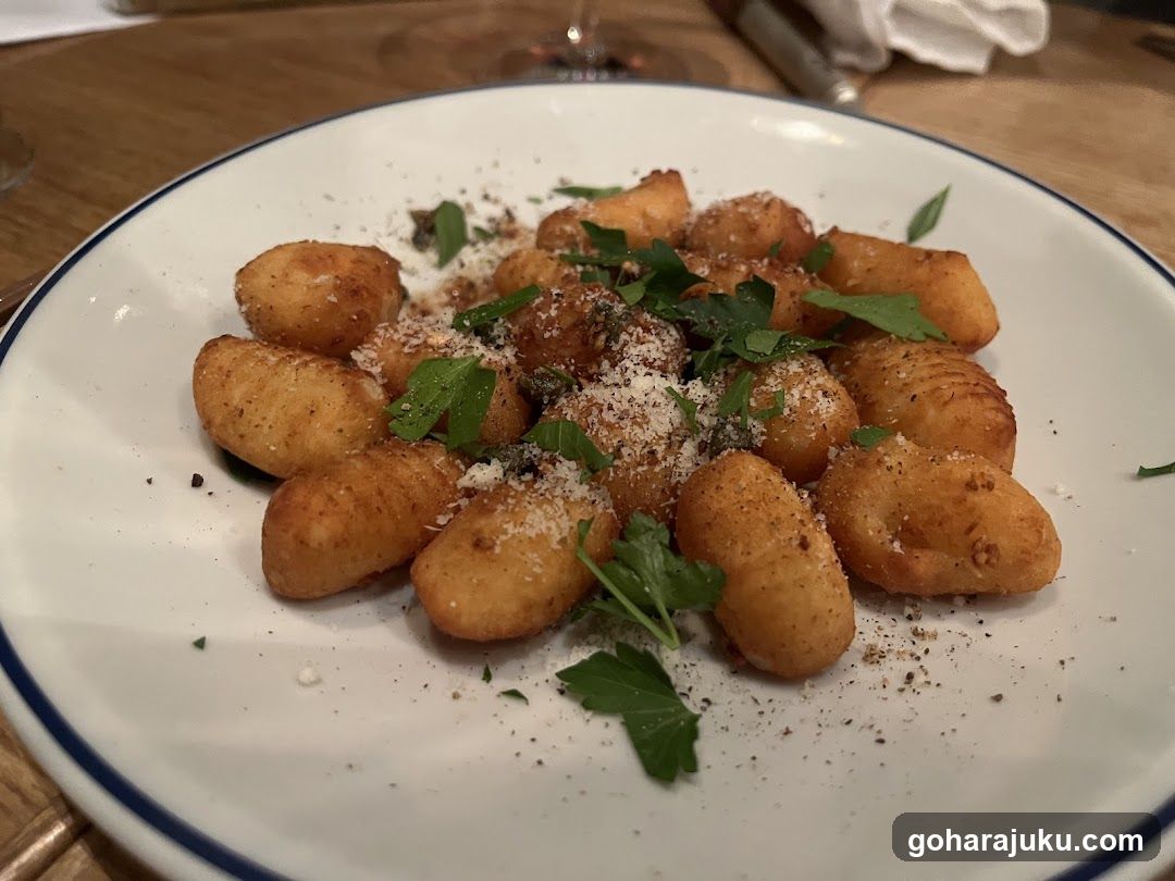 gnudi