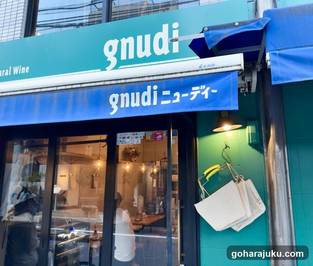 gnudi