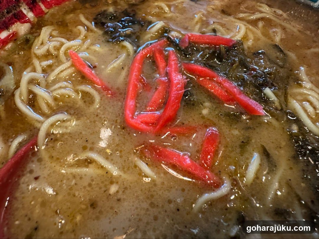Kyushu Jangara Ramen