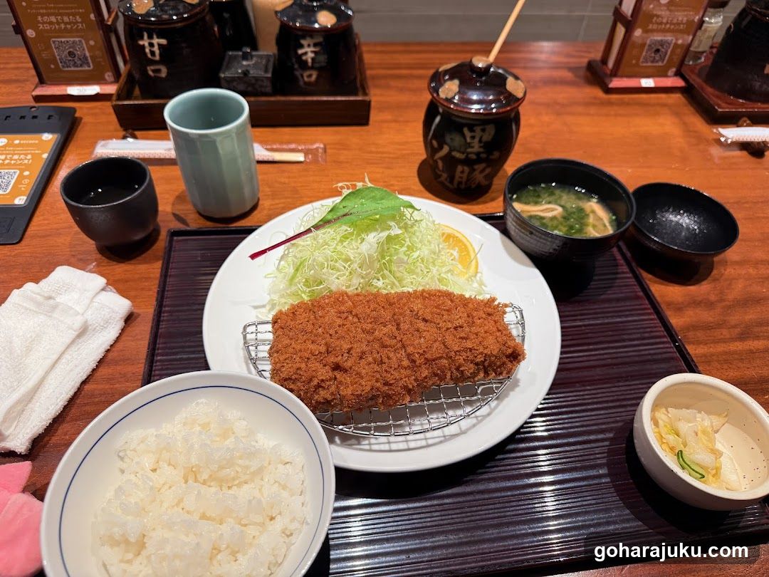 Tonkatsu Maisen Aoyama