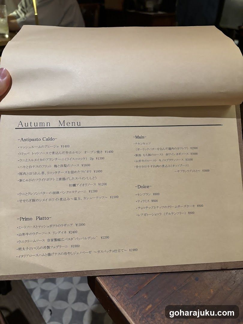 Shiny Owl