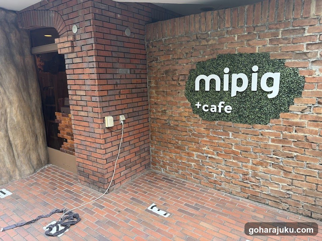 mipig cafe Harajuku - general