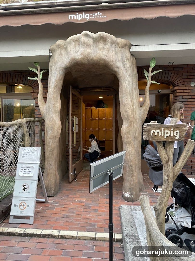 mipig cafe Harajuku