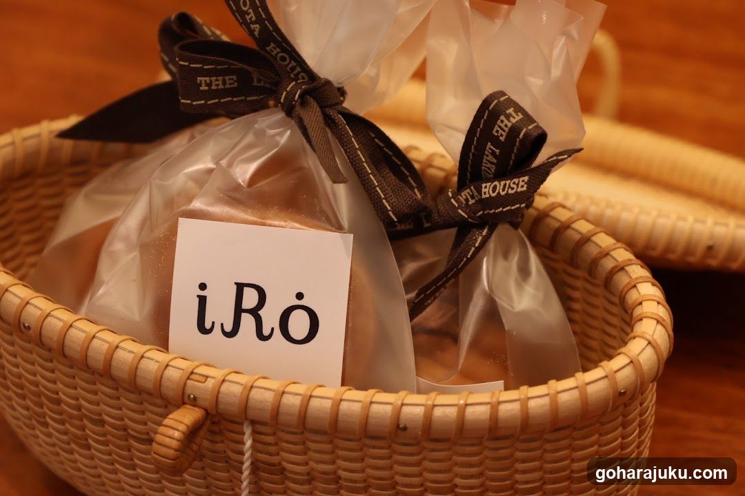 iRo