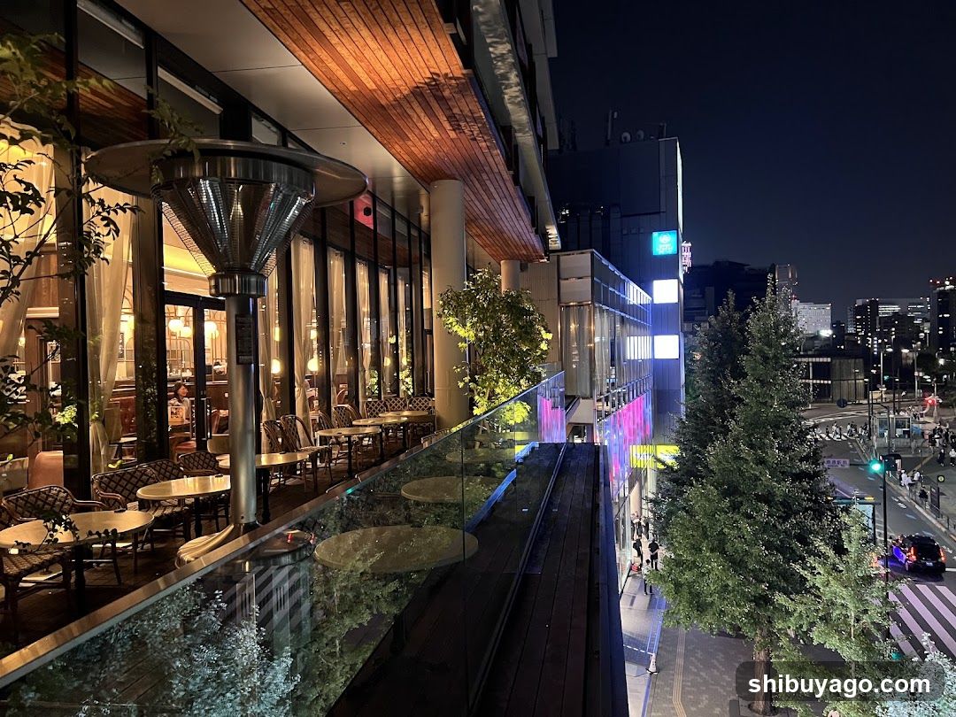 Night View from Restaurant Terrace
