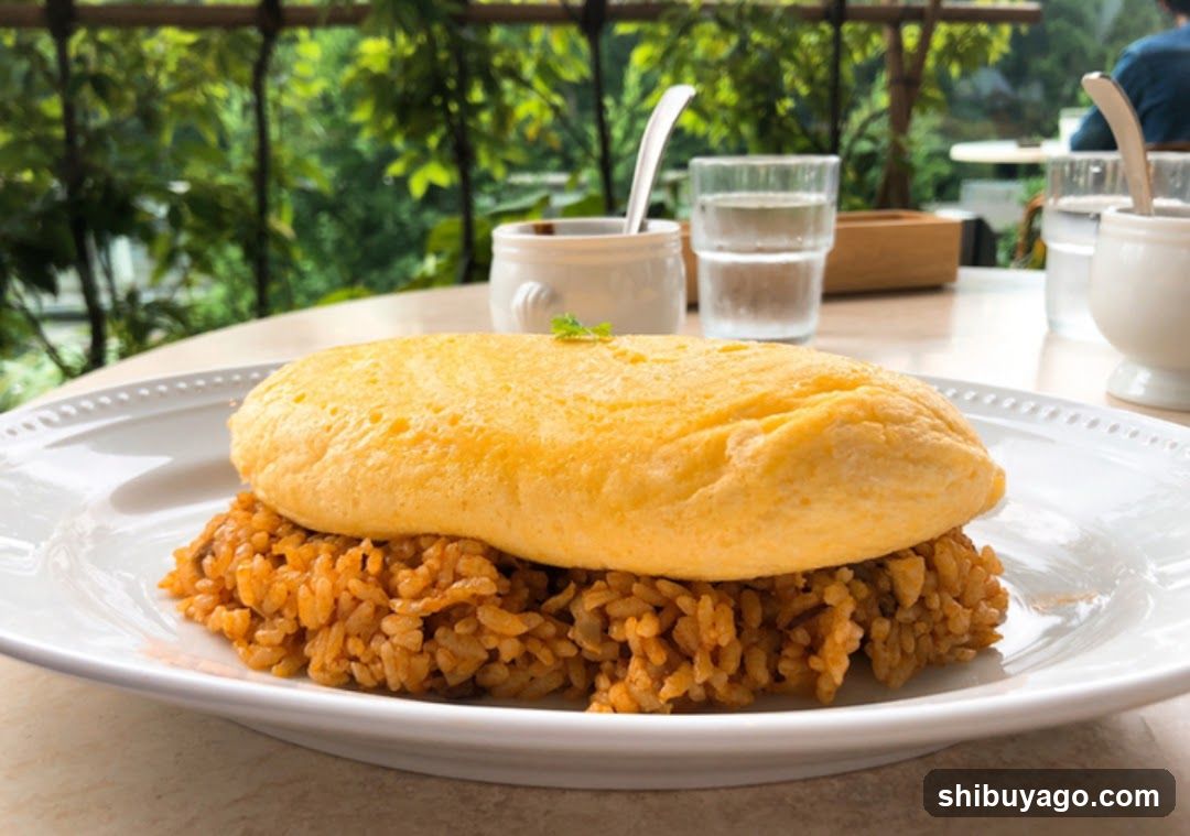 Omelette Rice Dish