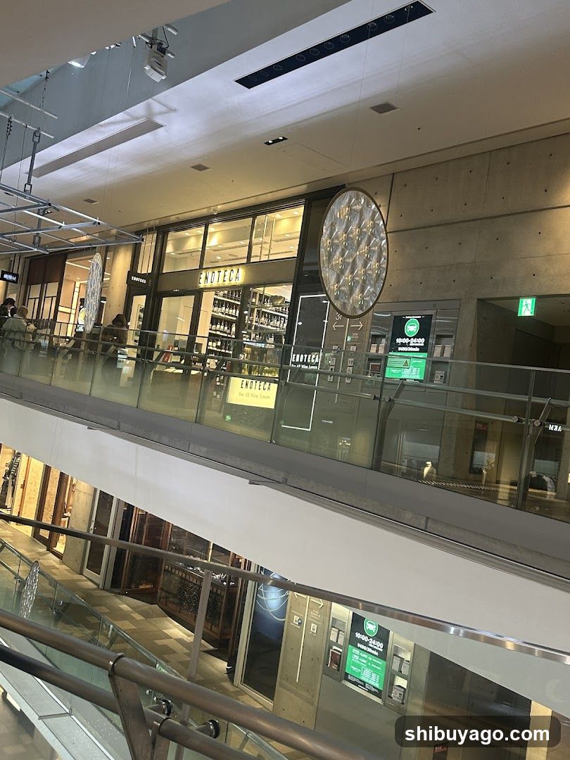 Shopping Mall Interior View