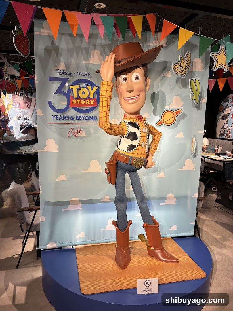 Toy Story 30 Years & Beyond Cafe Display