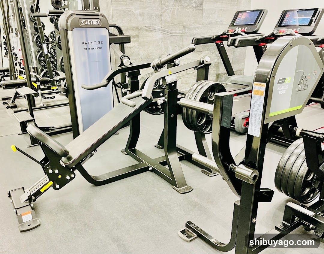 Gym Interior with Exercise Equipment