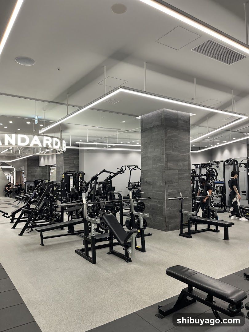 Gym Interior
