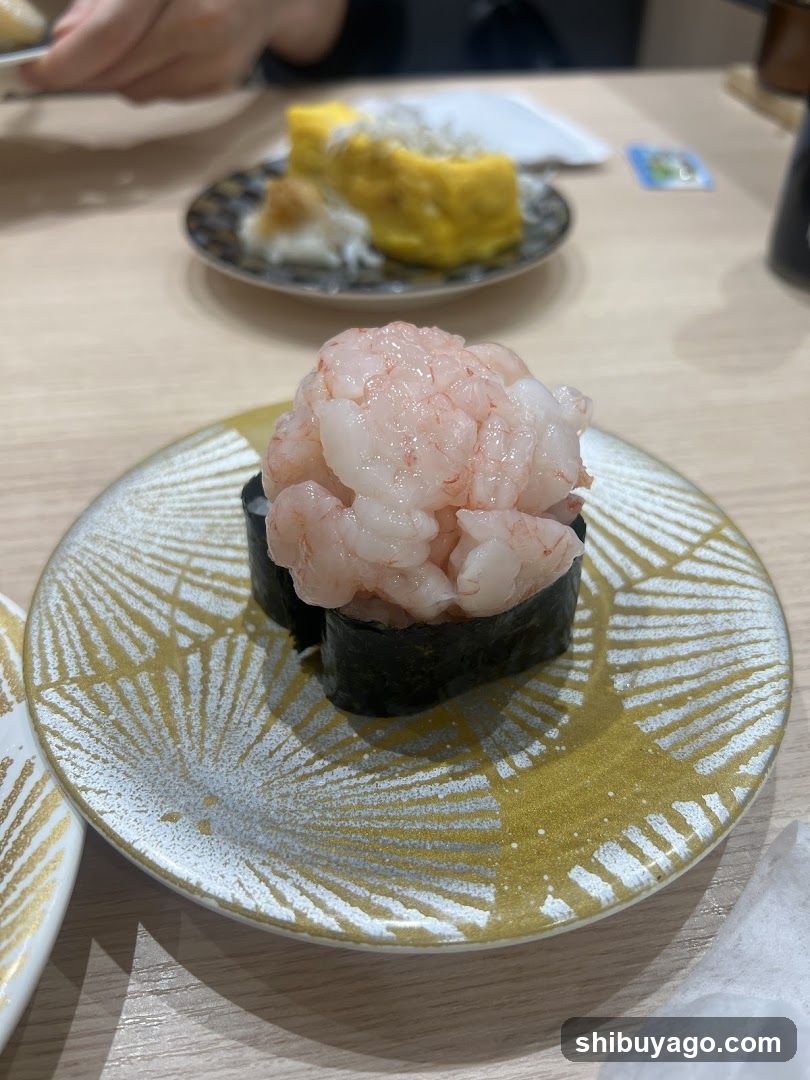 Sushi and Omelette Dish