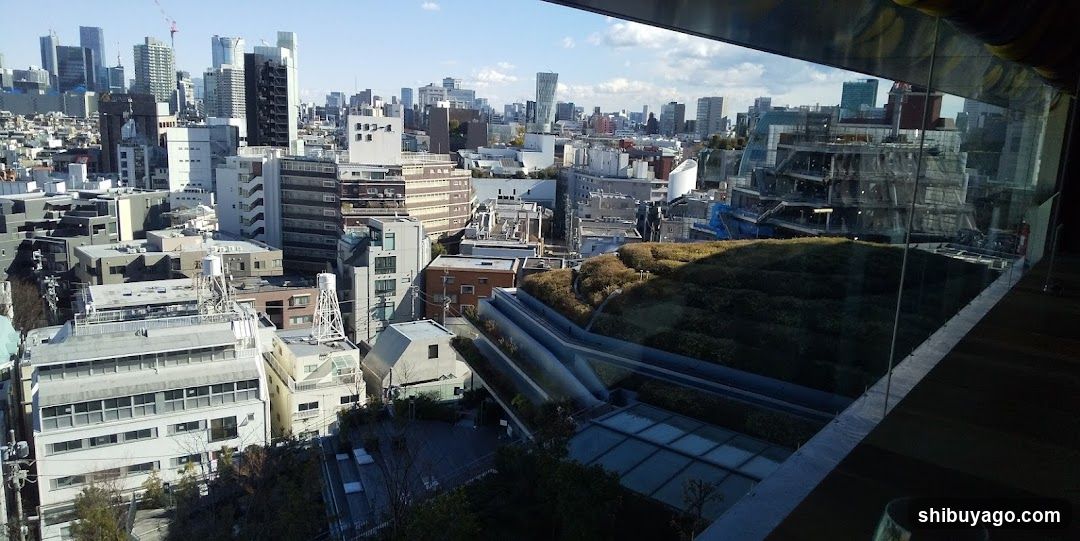 Cityscape View from Rooftop