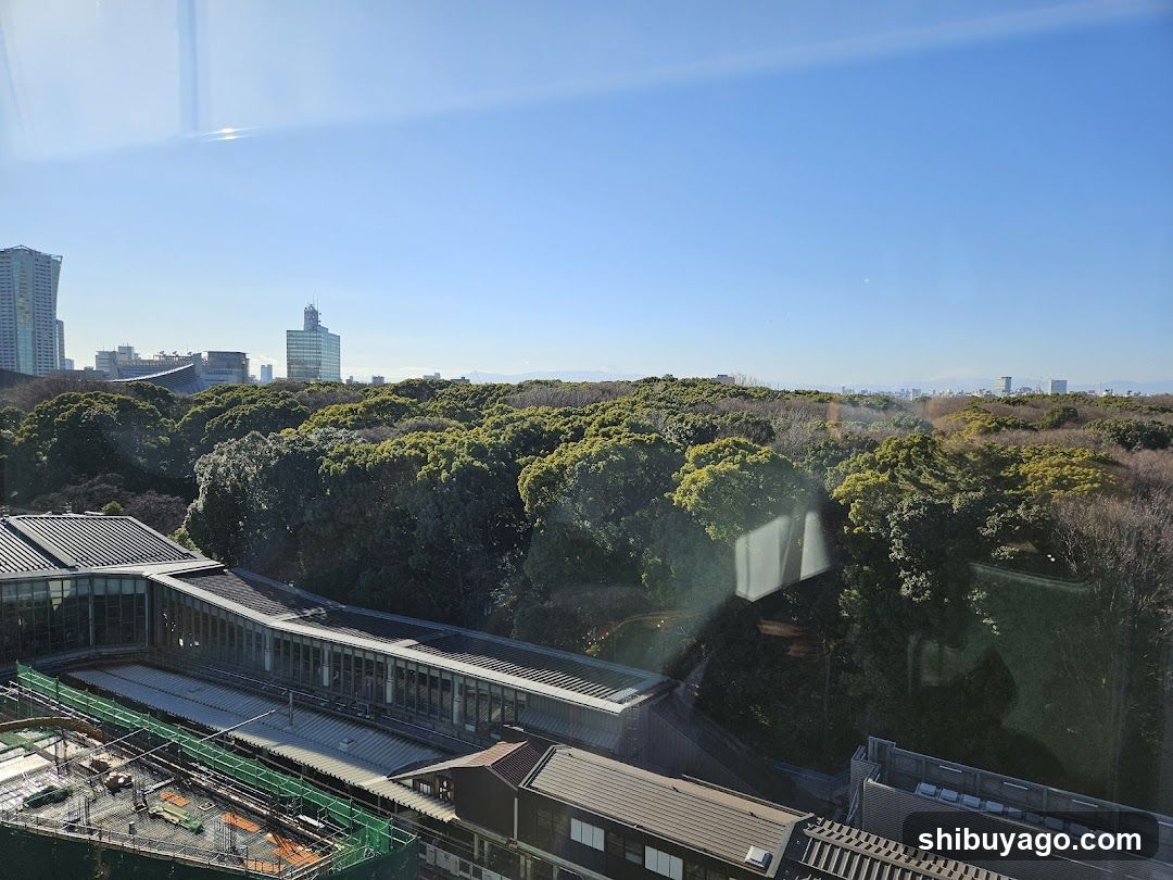 Cityscape with Park View