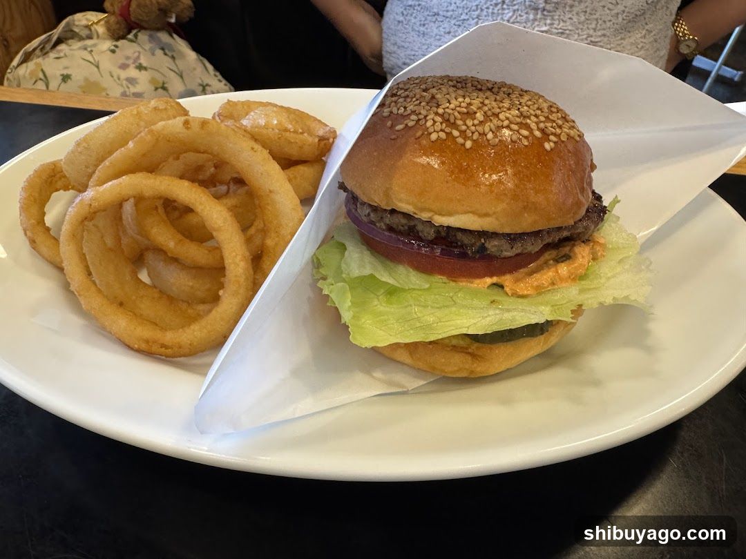 Burger and Onion Rings