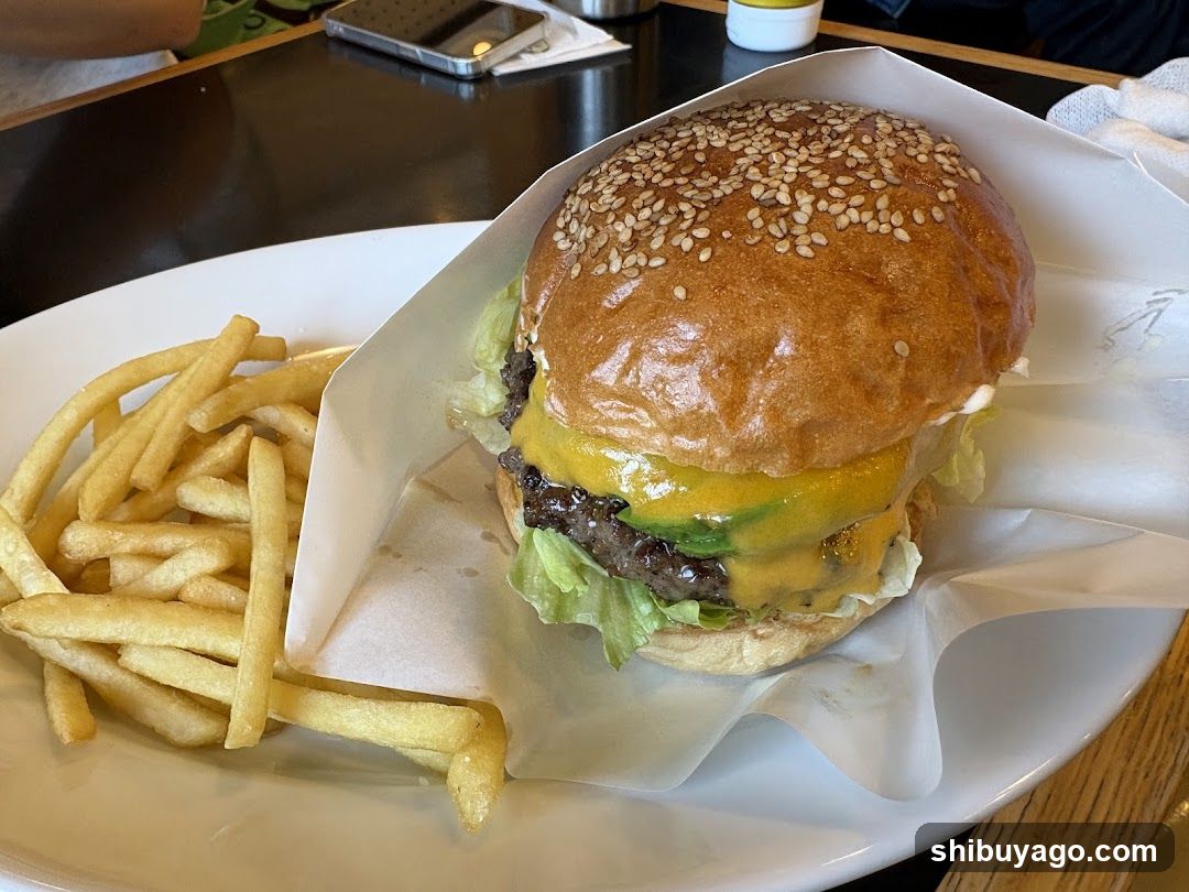 Burger and Fries