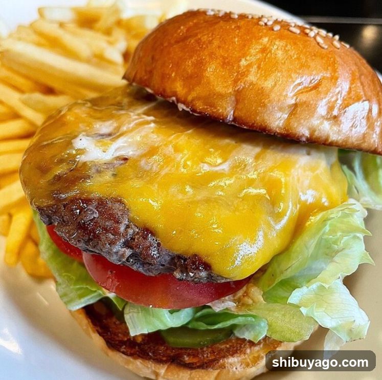 Cheeseburger with Fries