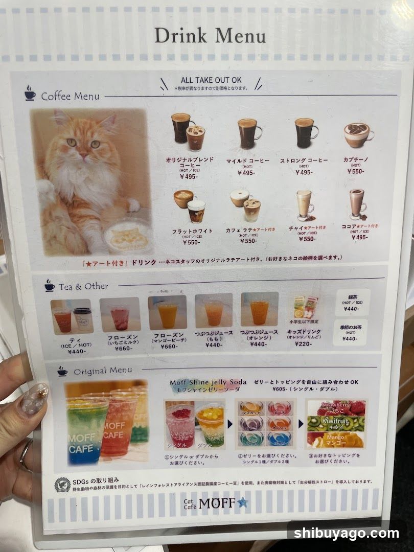 Cat Cafe MOFF CUTE CUBE