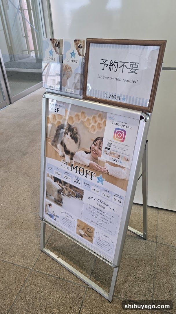 Cat Cafe MOFF CUTE CUBE