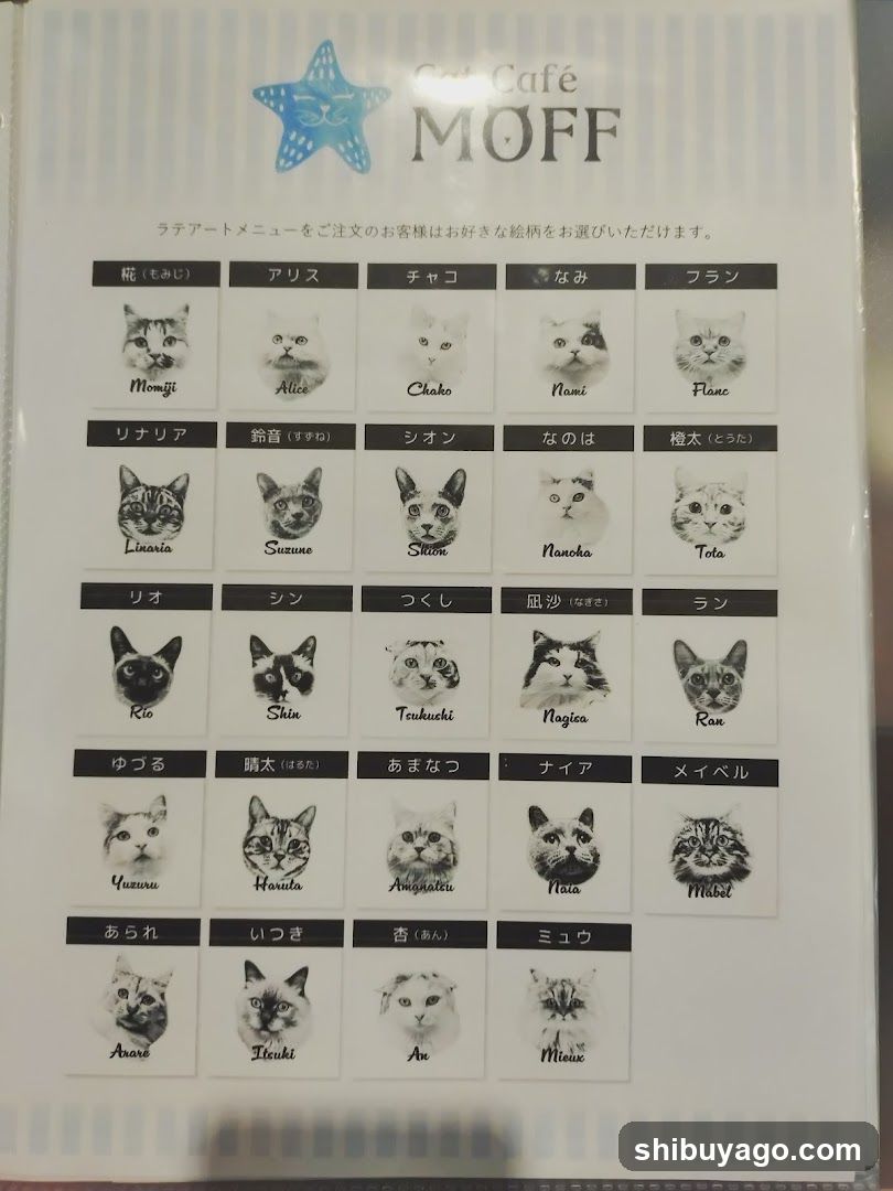 Cat Cafe MOFF Menu
