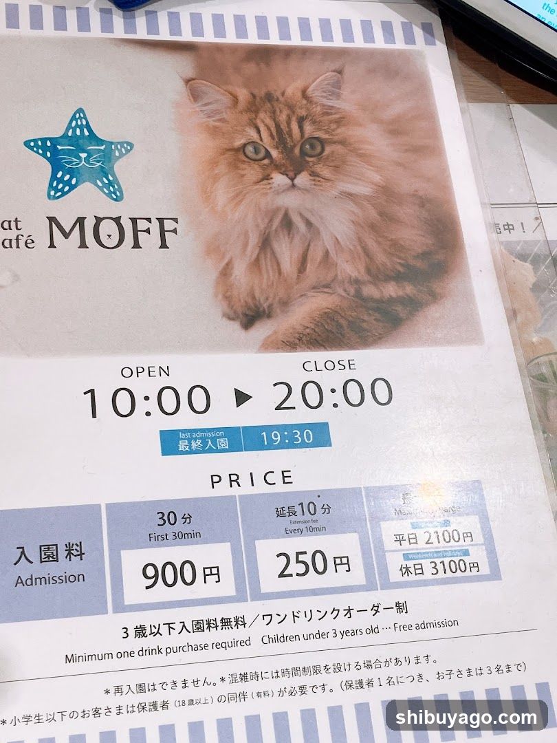 Cat Cafe MOFF Flyer