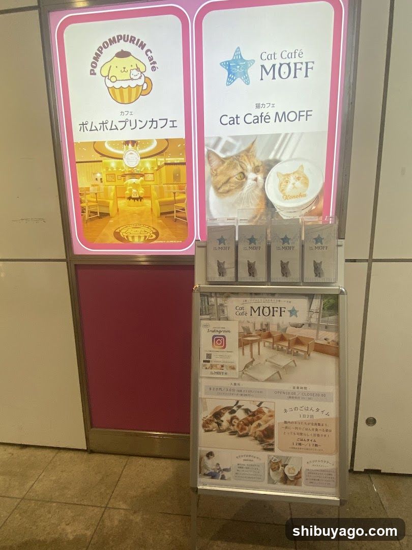 Cat Cafe and Pompompurin Cafe Display