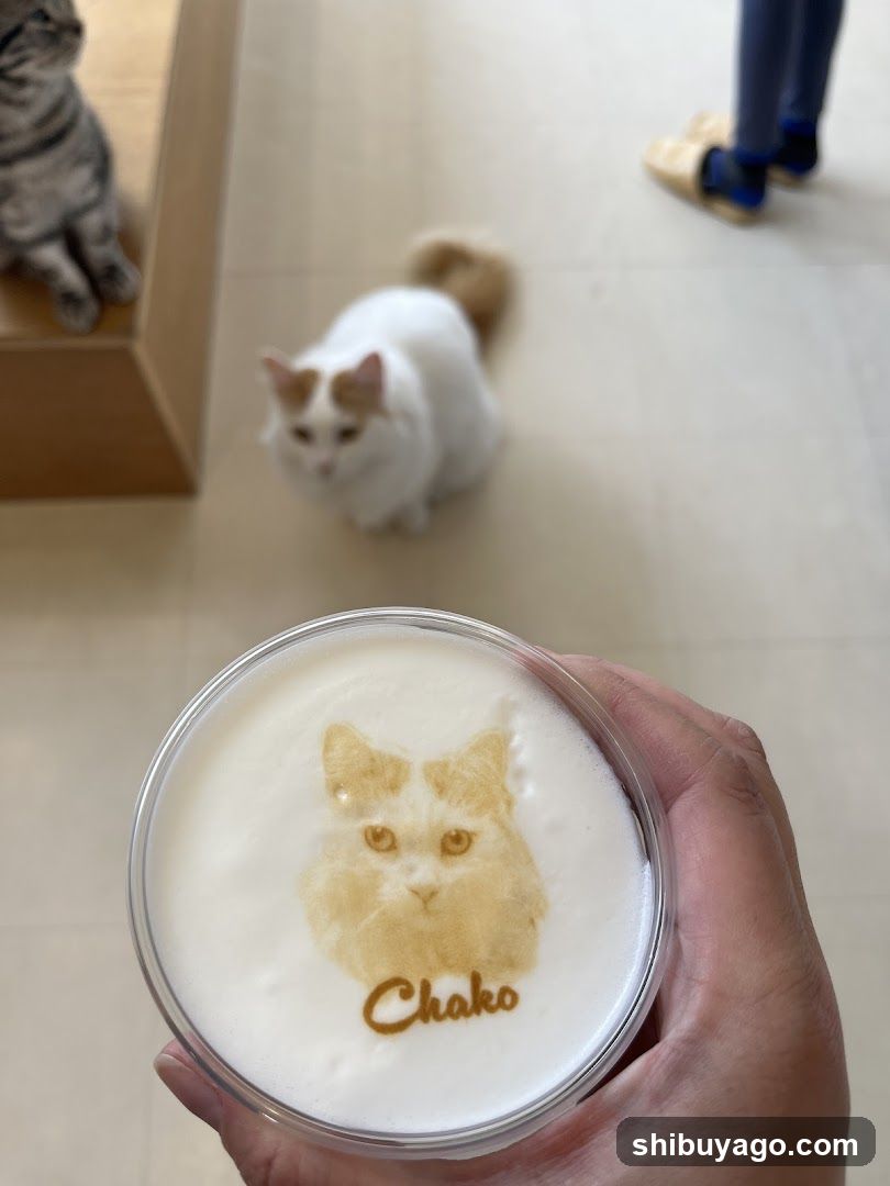 Latte Art with Cat Design