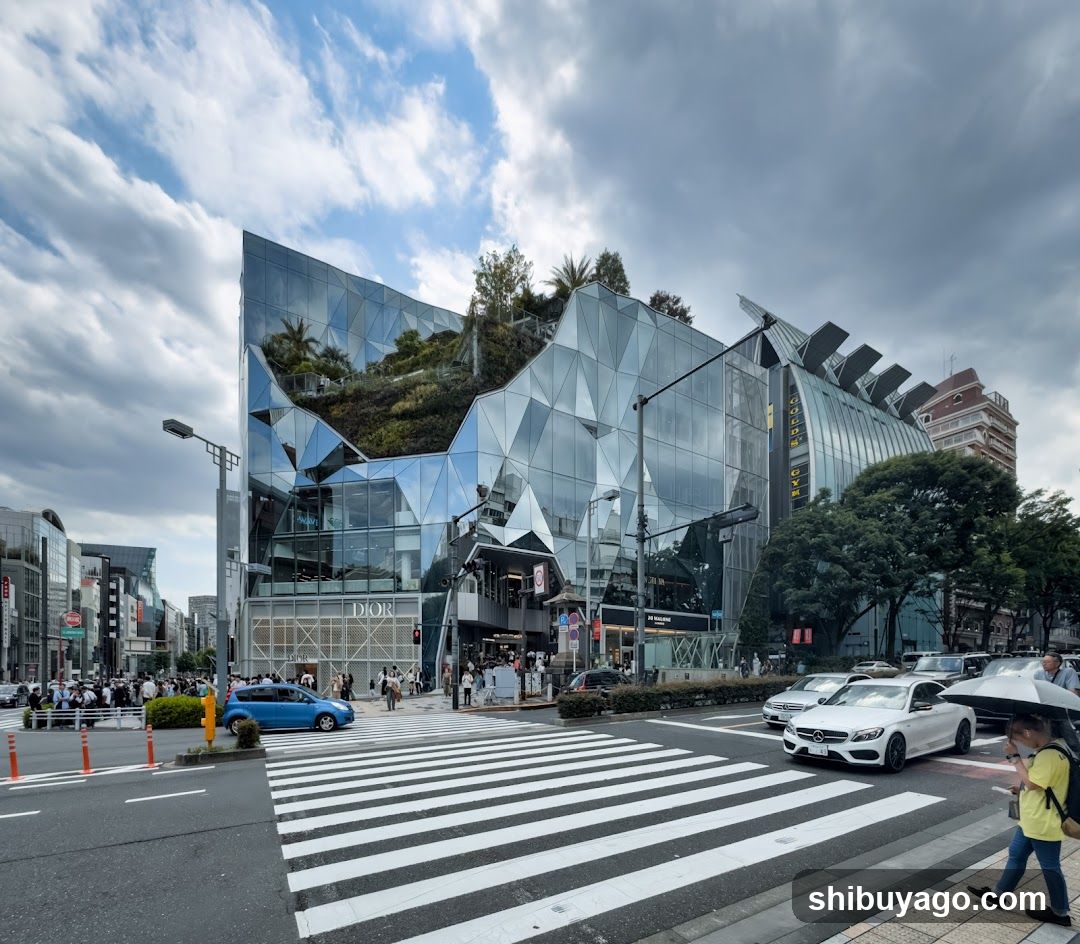 HARAJUKU KITCHEN & TERRACE