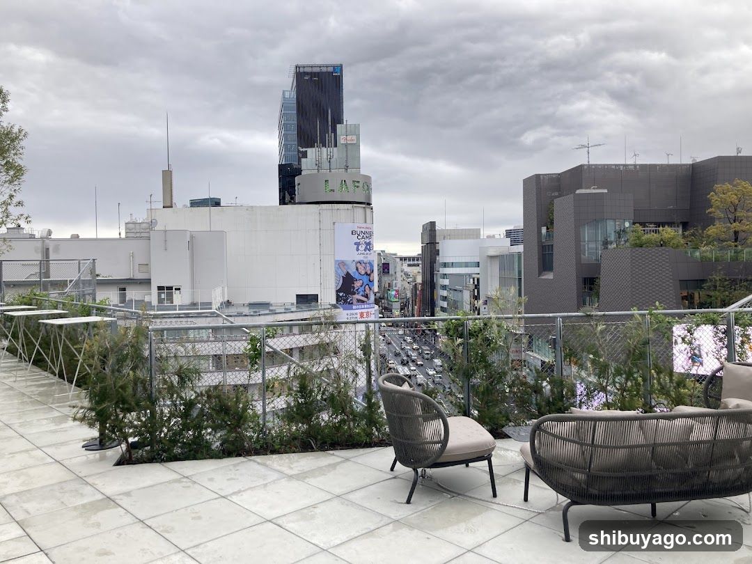 City Rooftop Terrace View