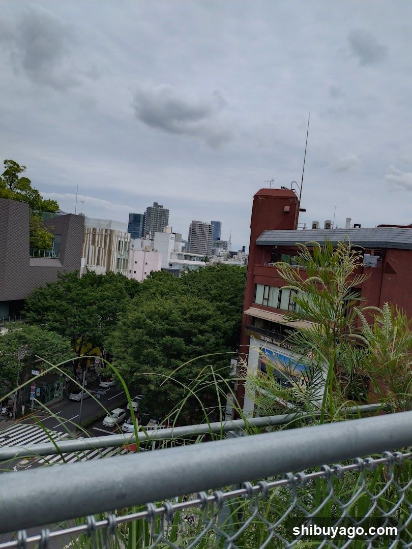 Urban Skyline View from Elevated Walkway