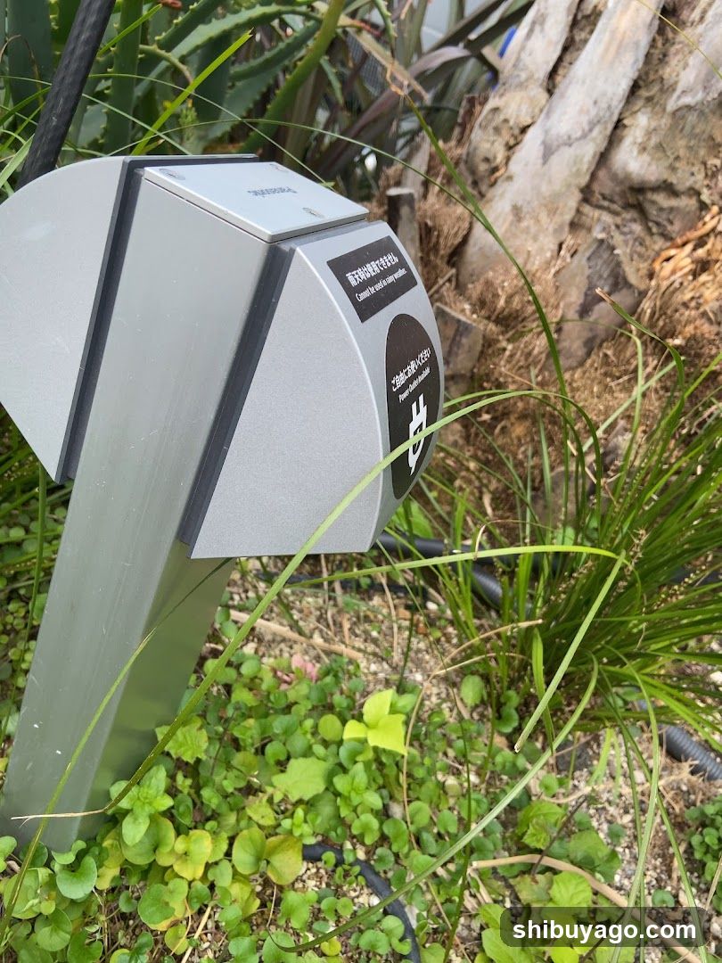 Outdoor Recycling Bin