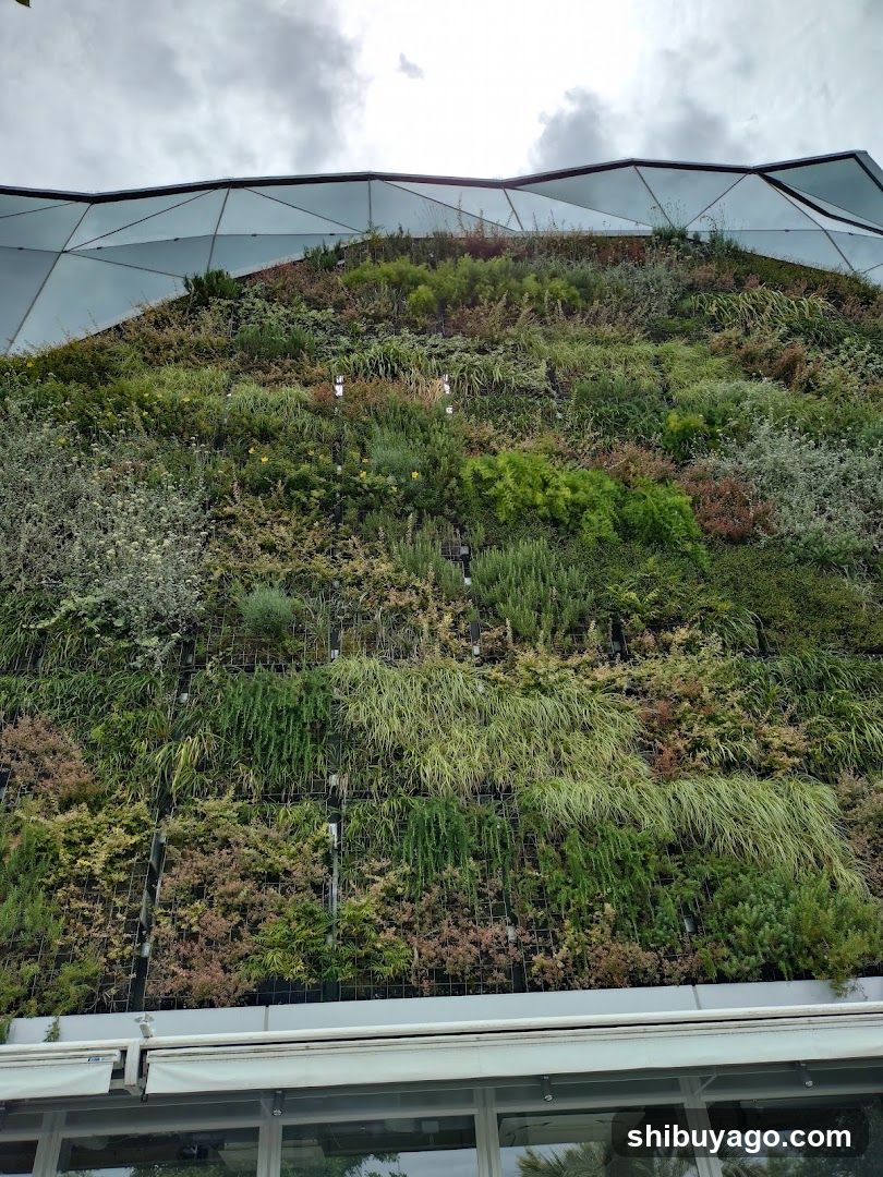 Vertical Garden Facade
