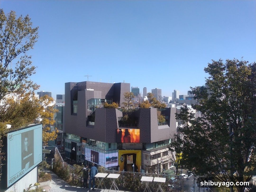 Urban Building with City Skyline