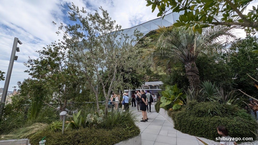 Outdoor Garden Scene with People