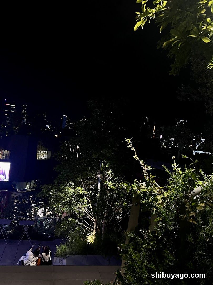 Night City View with People Sitting