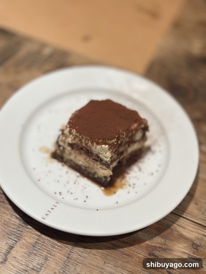 Tiramisu Dessert