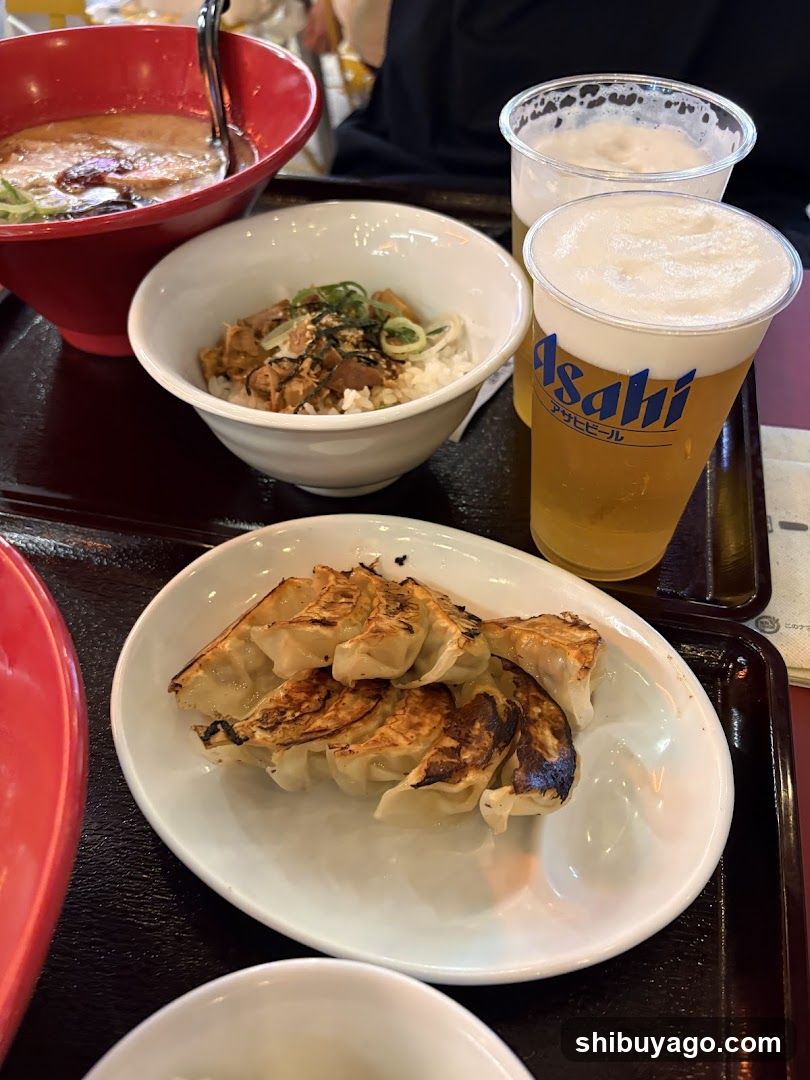 Japanese Meal with Beer