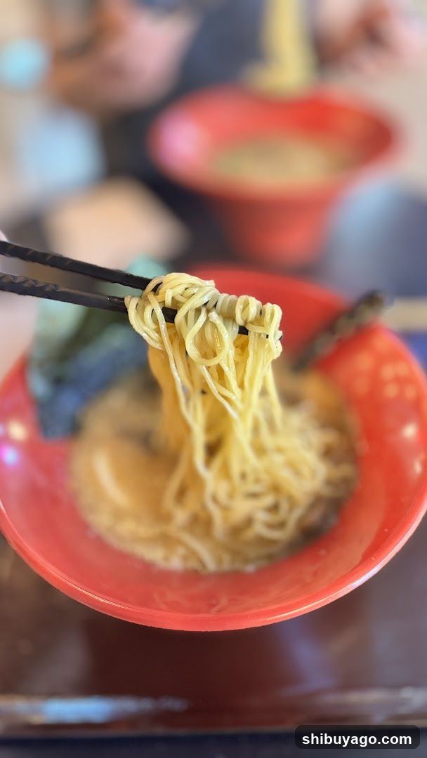 Ramen Bowl with Noodles