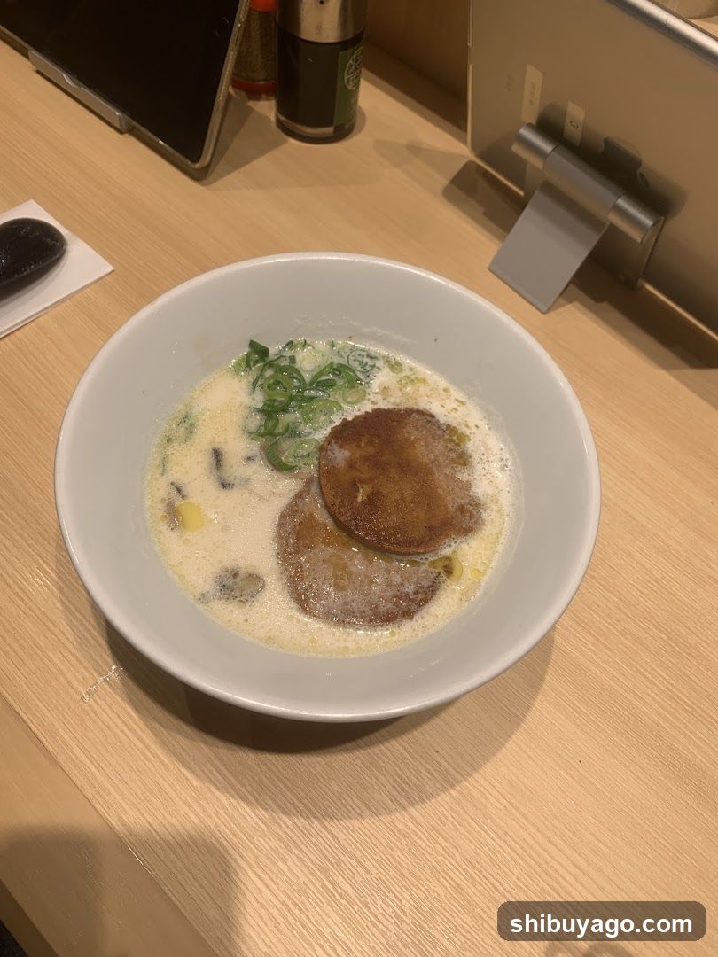 Ramen Bowl with Scallions and Meat