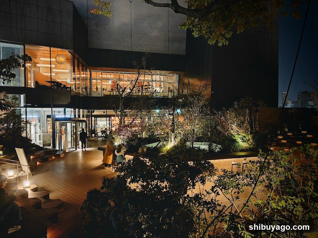 Nighttime Rooftop Garden Scene