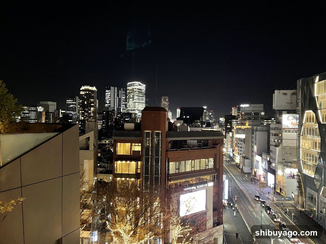 Night Cityscape View