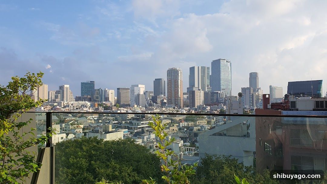 Cityscape View from Rooftop