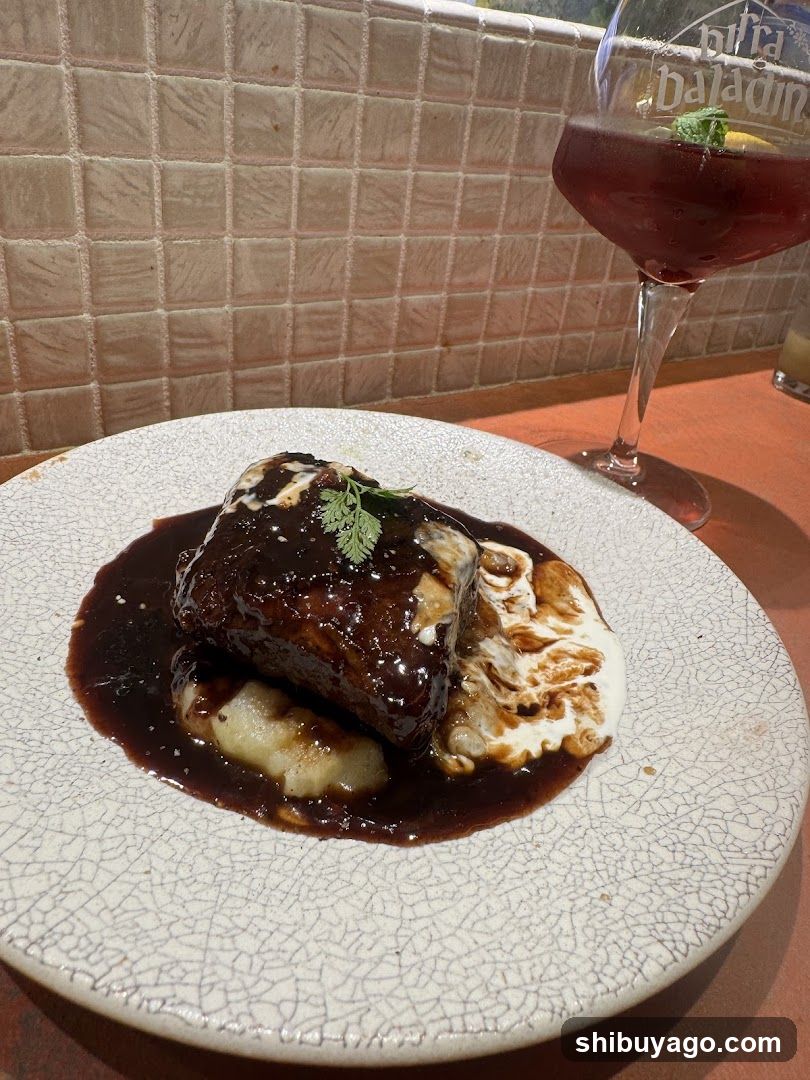 Stuffed Meat with Sauce and Garnish