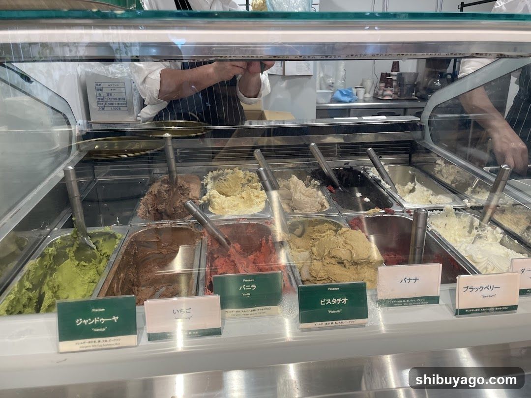 Ice Cream Display Case