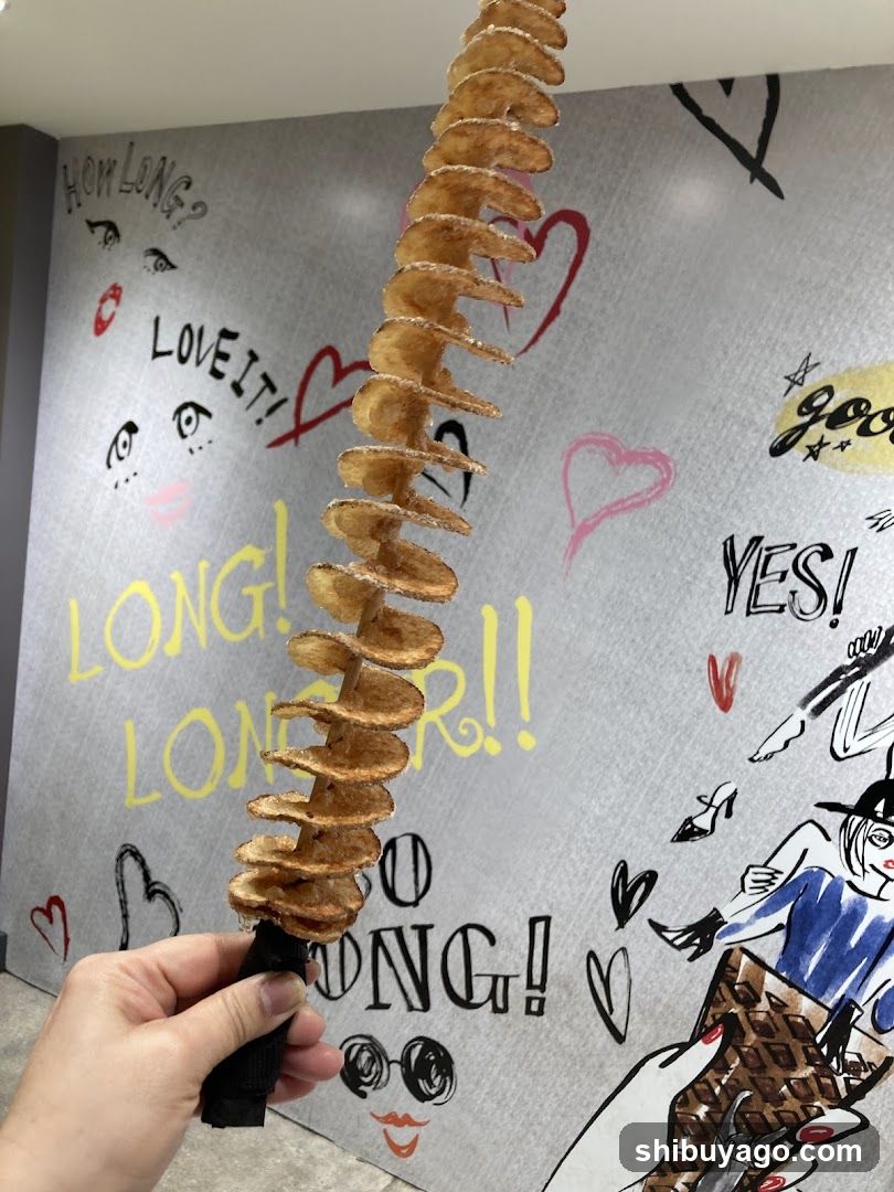 Spiral Potato Chip