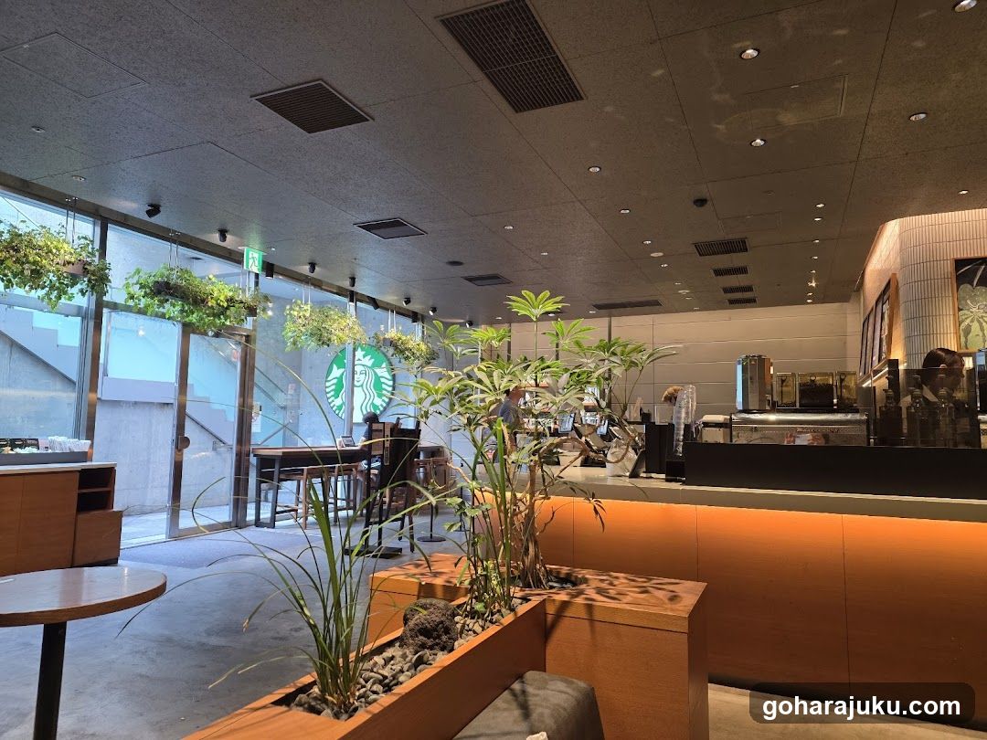 Starbucks Interior View