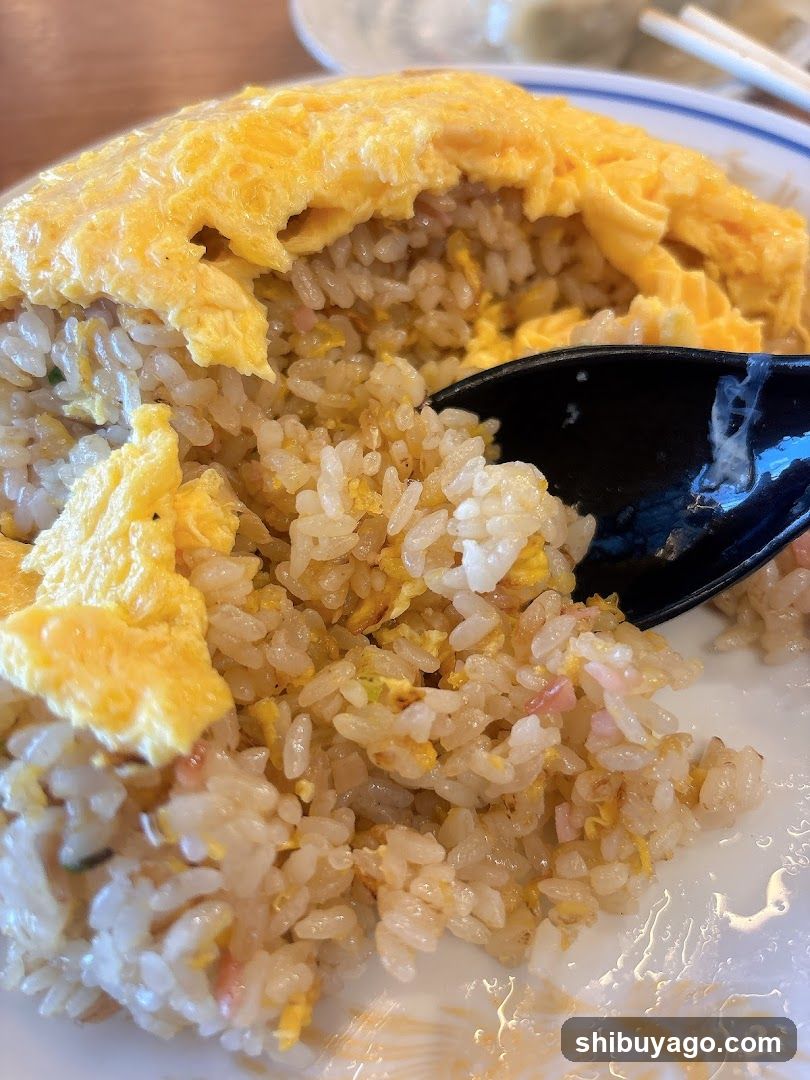 Omelette Fried Rice Dish