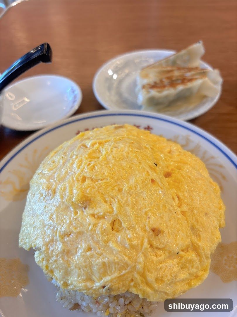 Omelette Rice and Gyoza