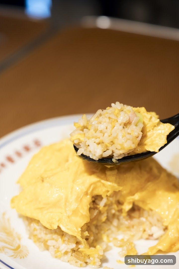 Egg Fried Rice Dish